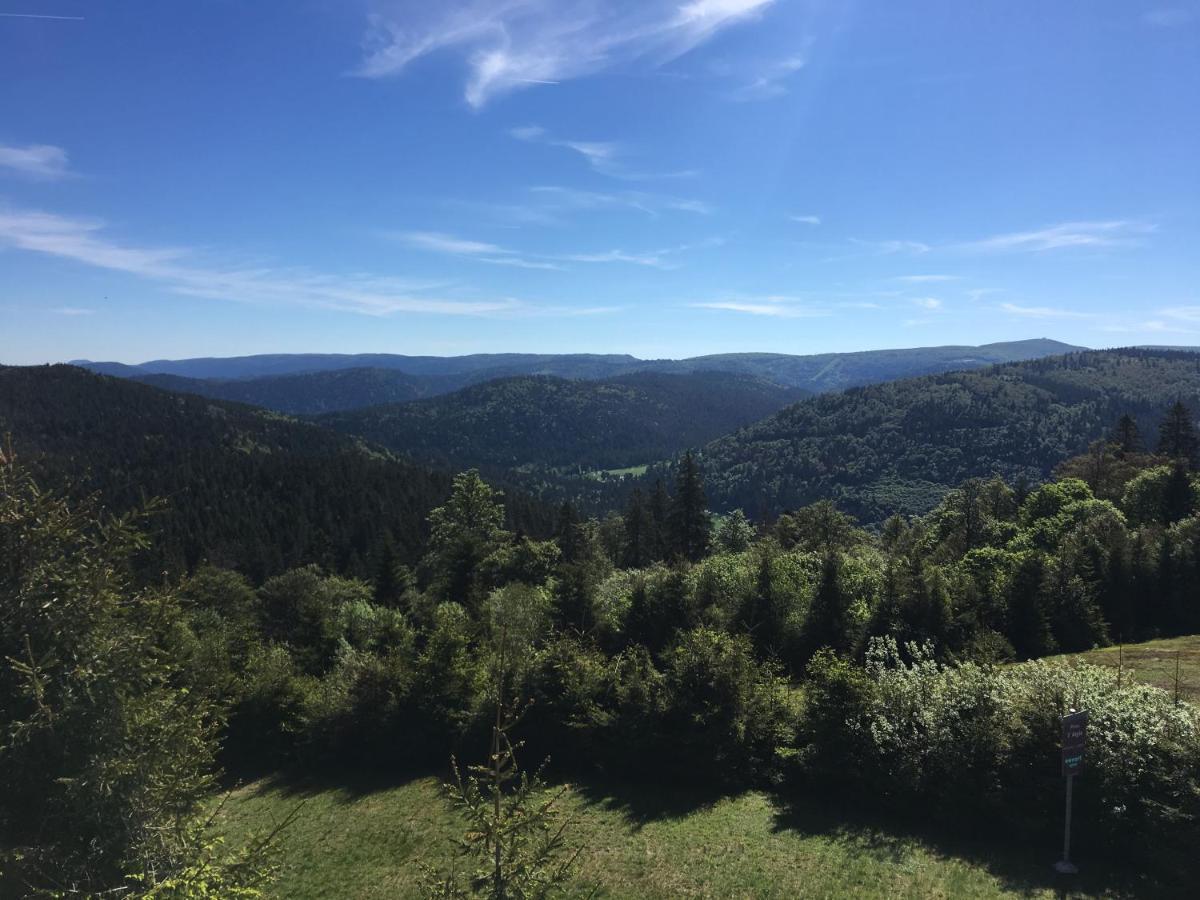 Le Belvosgien Appartement Gérardmer Buitenkant foto